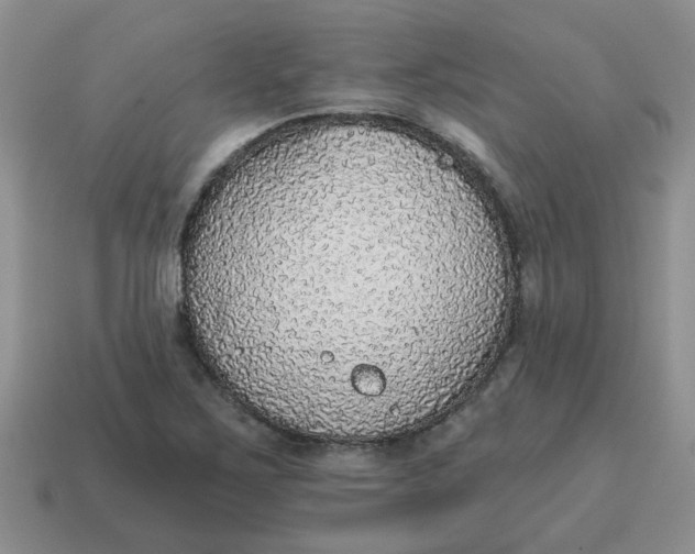 X0000114571267200911091208