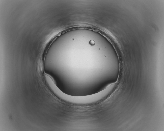 X0000114571269200911091208