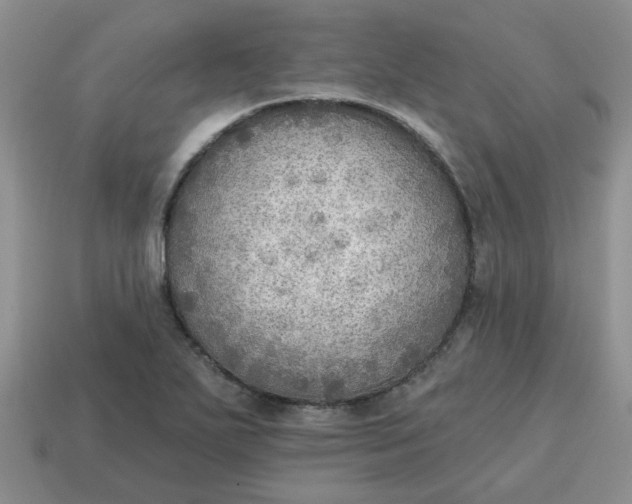 X0000114571271200911091208