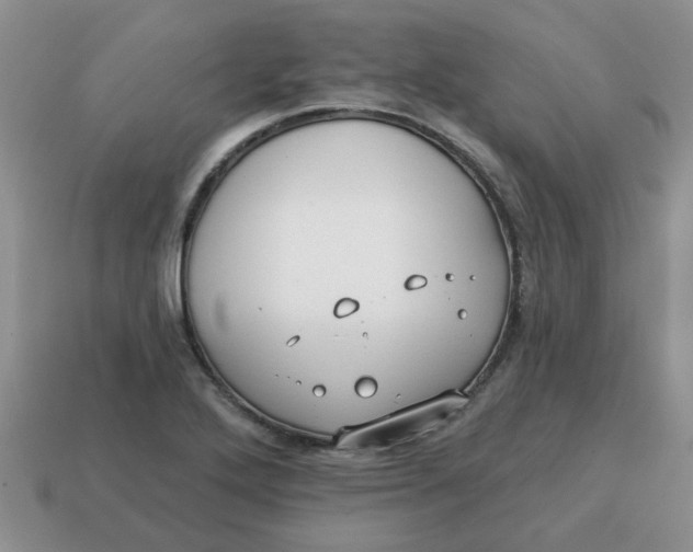 X0000114571272200911091208