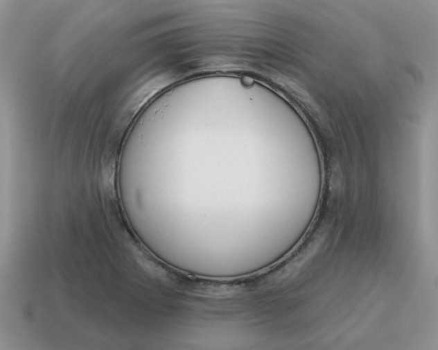 X0000114571273200911091208