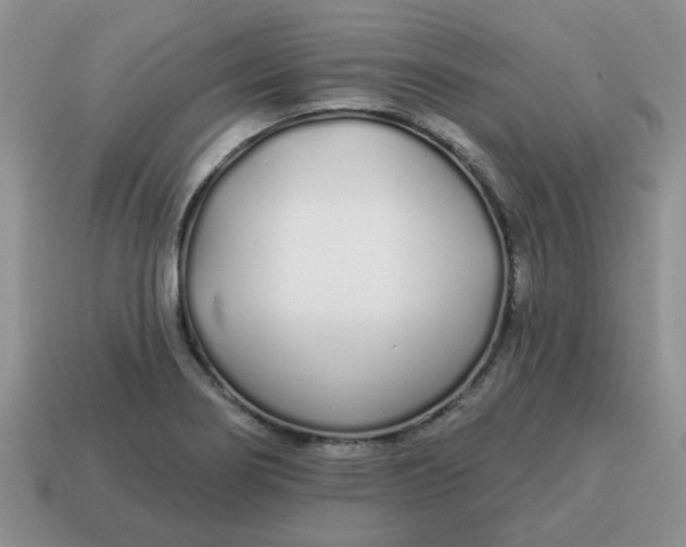 X0000114571274200911091208