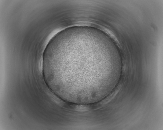 X0000114571275200911091208