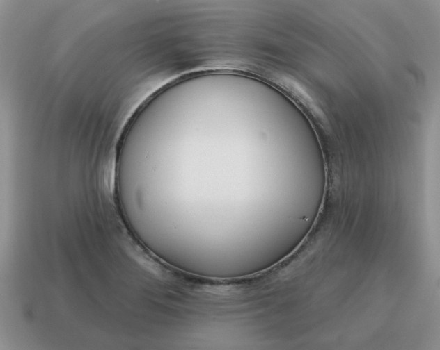 X0000114571276200911091208