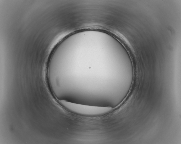 X0000114571277200911091208