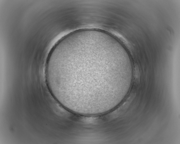 X0000114571278200911091208