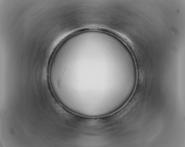 X0000114571279200911091208