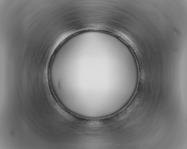 X0000114571283200911091208