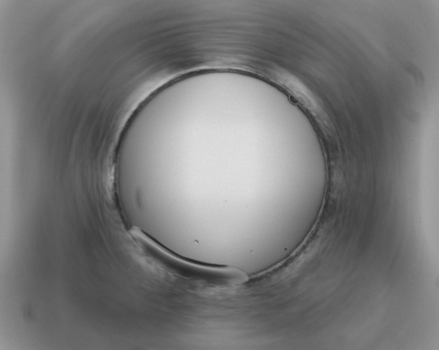 X0000114571284200911091208