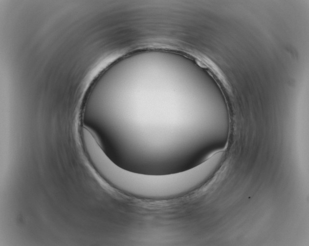 X0000114571285200911091208