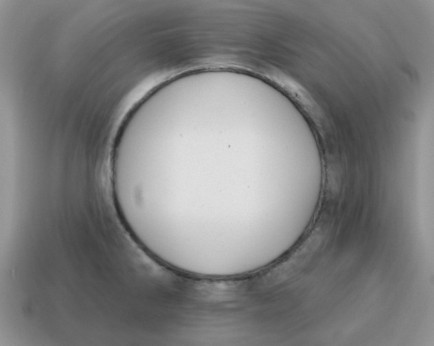 X0000114571286200911091208