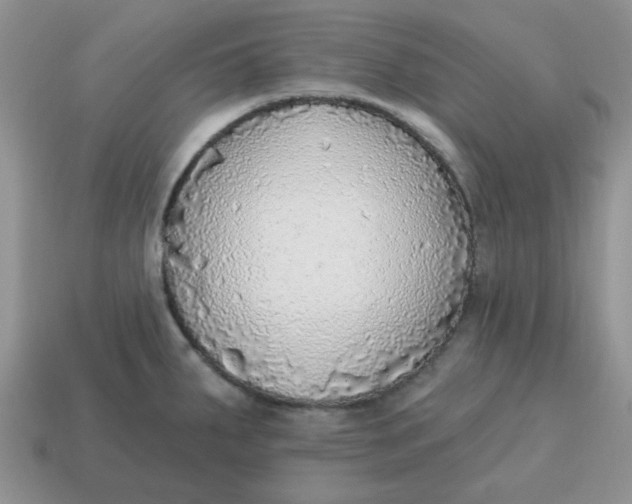 X0000114571287200911091208