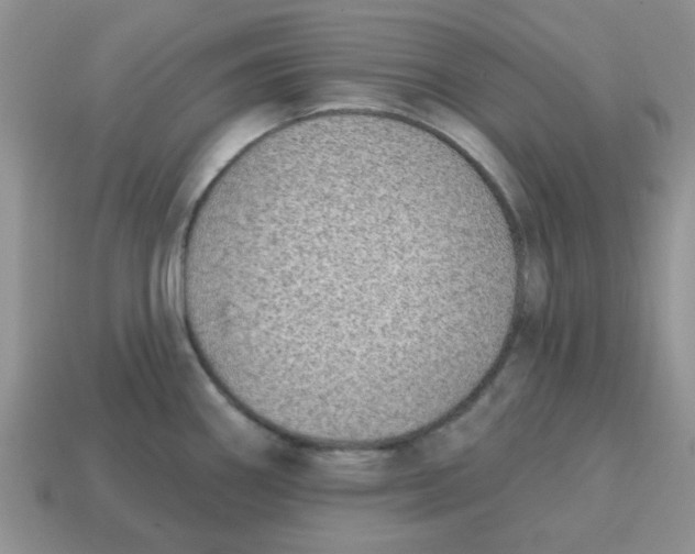 X0000114571290200911091208