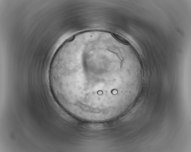 X0000114571291200911091208