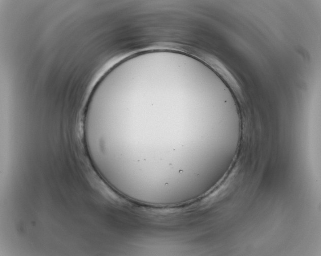 X0000114571292200911091208