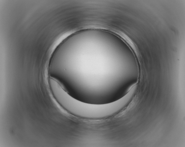 X0000114571293200911091208