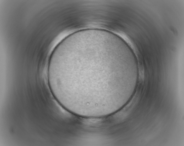 X0000114571294200911091208