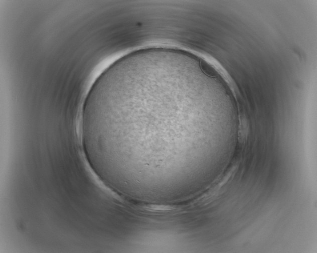 X0000114571295200911091208