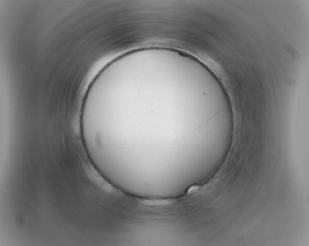 X0000114571296200911091208