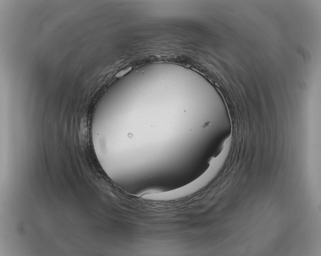 X0000114571298200911091207