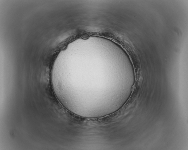 X0000114571301200911091207