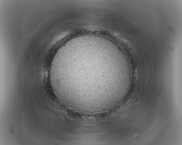 X0000114571302200911091207