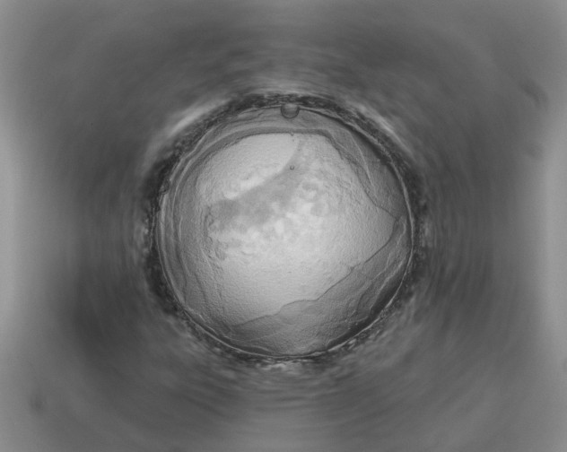 X0000114571303200911091207