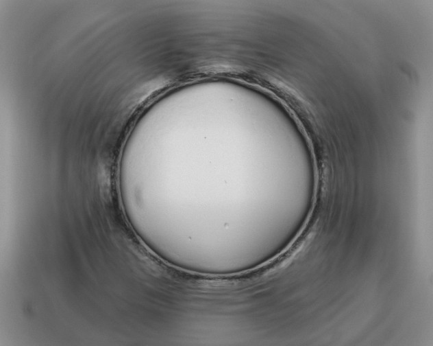 X0000114571305200911091207