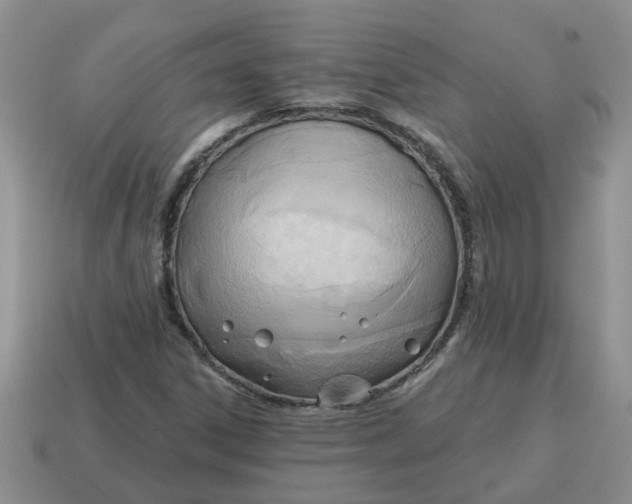 X0000114571306200911091207