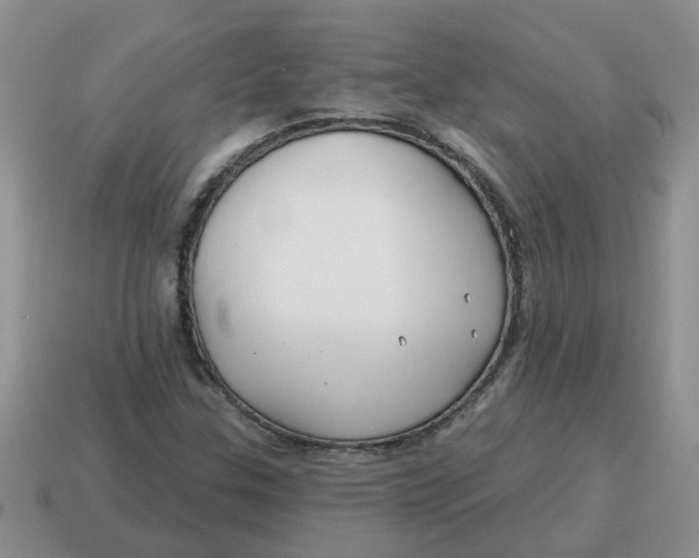 X0000114571307200911091207