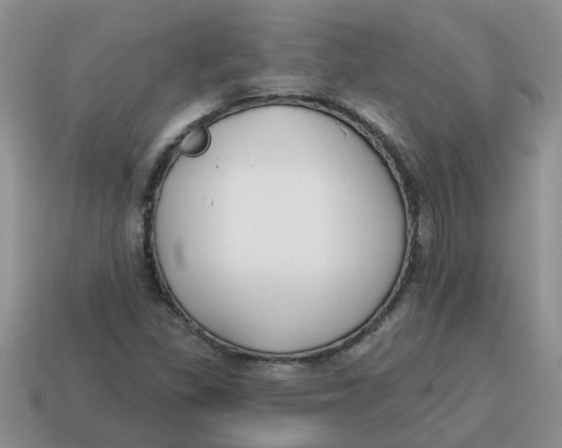 X0000114571309200911091207