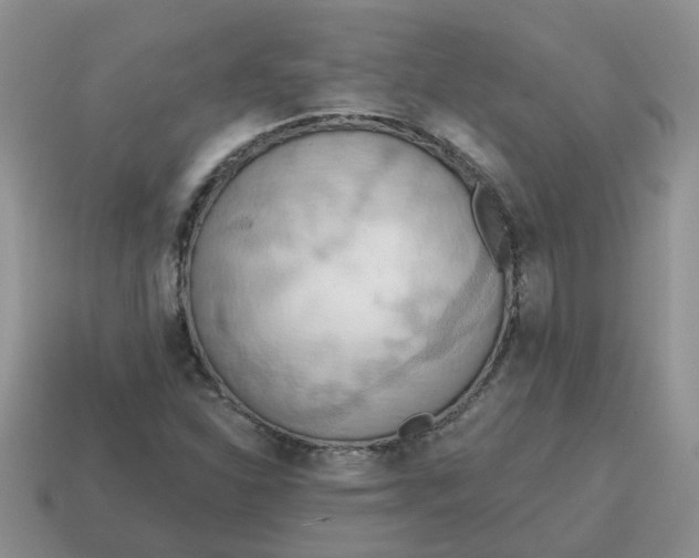 X0000114571310200911091207