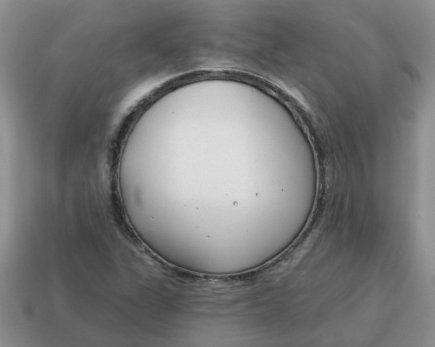 X0000114571311200911091207