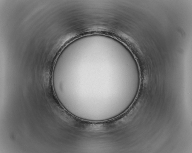 X0000114571313200911091207