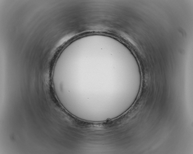 X0000114571315200911091207