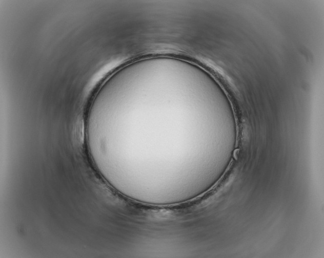 X0000114571317200911091207