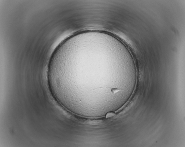 X0000114571325200911091207