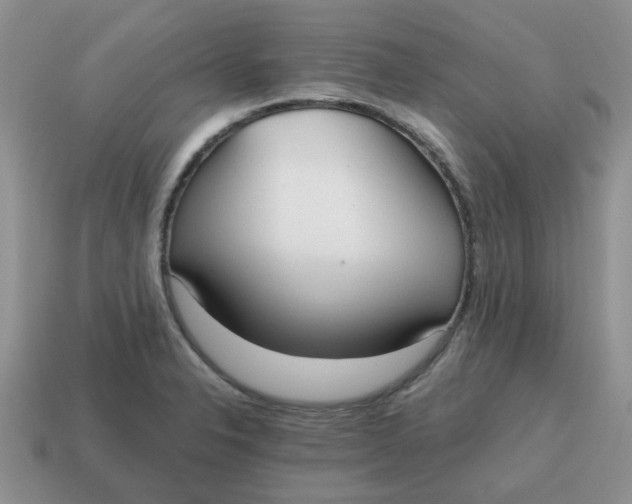 X0000114571326200911091207