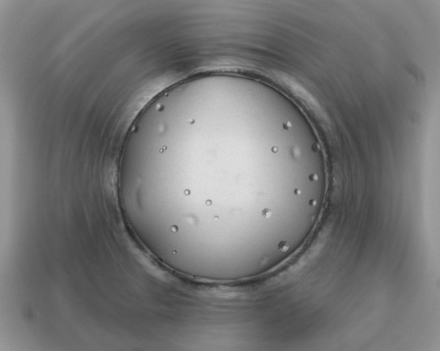 X0000114571329200911091207