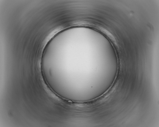 X0000114571330200911091207