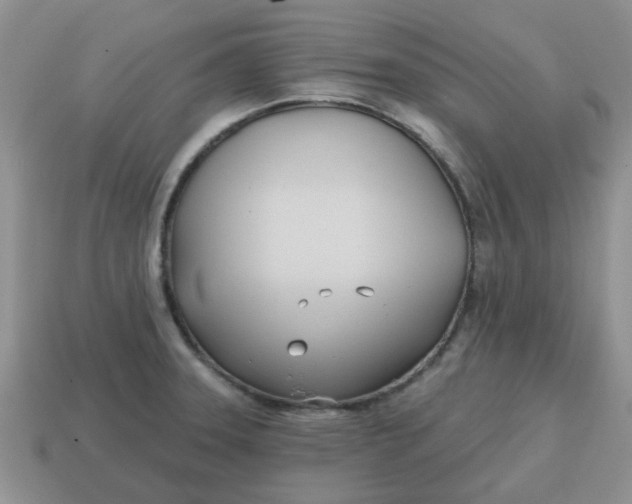 X0000114571331200911091207