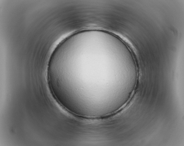 X0000114571333200911091207