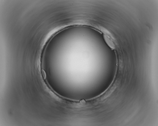 X0000114571334200911091207