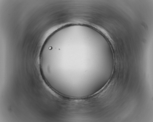 X0000114571335200911091207