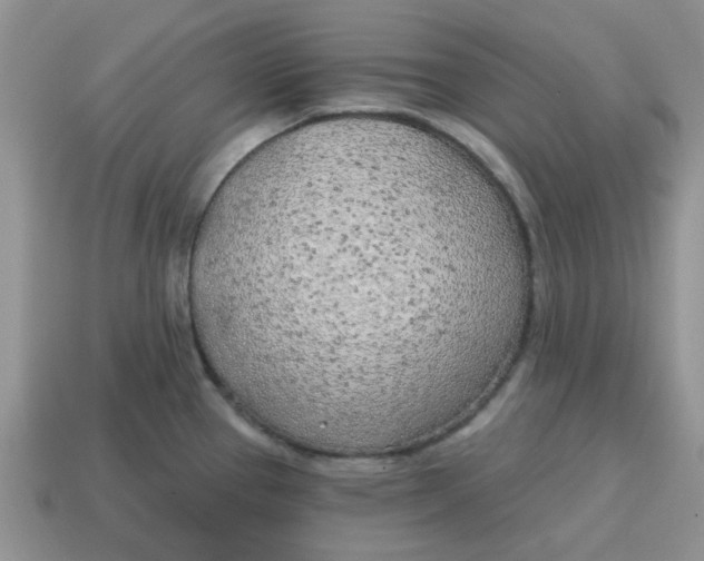 X0000114571337200911091207