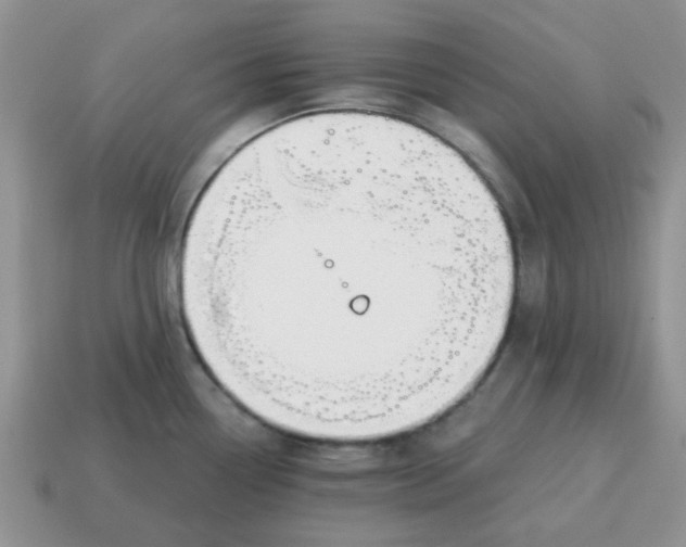 X0000114571338200911091207