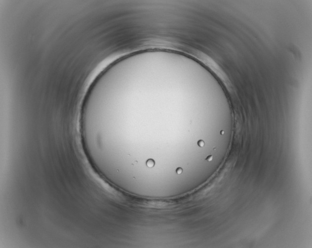 X0000114571339200911091207