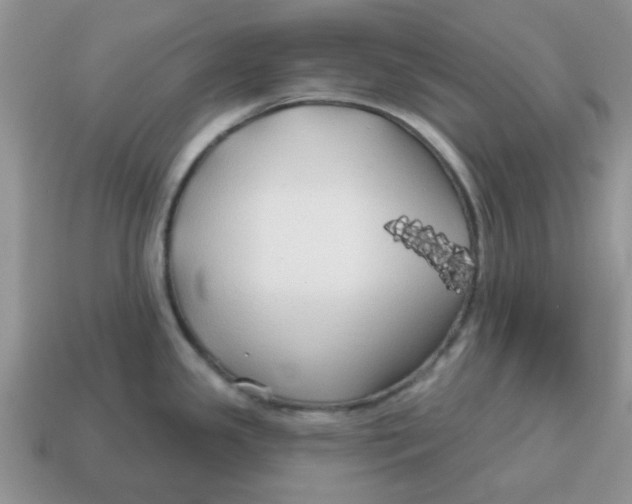 X0000114571341200911091207