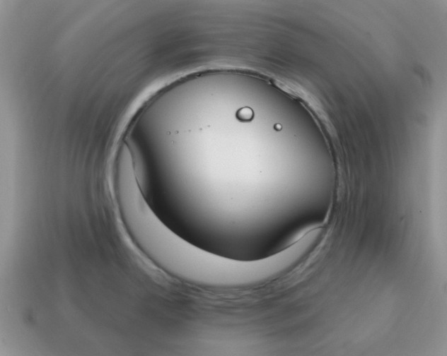 X0000114571342200911091207