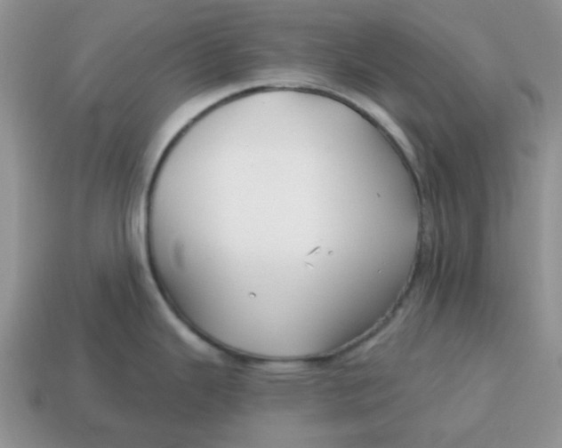 X0000114571343200911091207